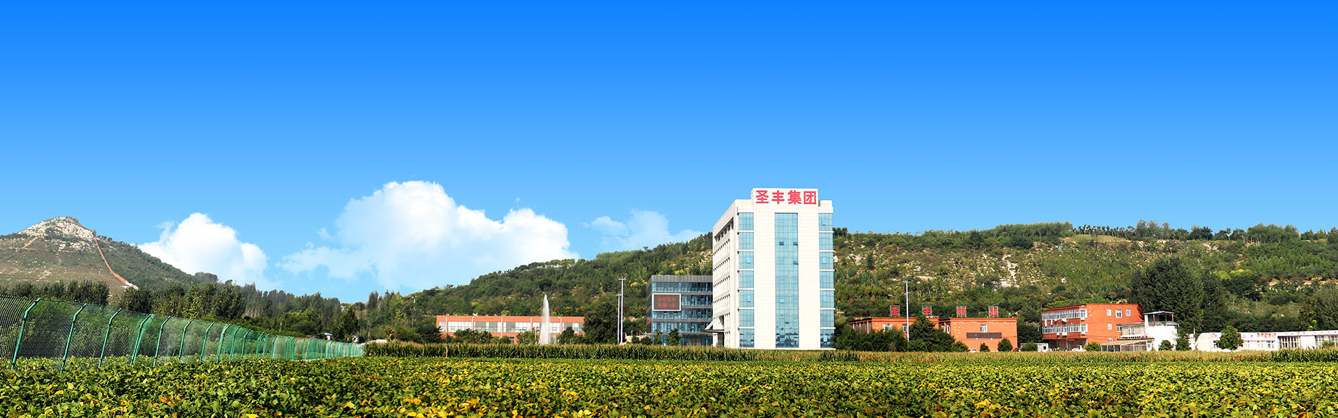 山東圣豐種業(yè)科技有限公司